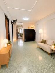 Blk 166 Stirling View (Queenstown), HDB 3 Rooms #636427001